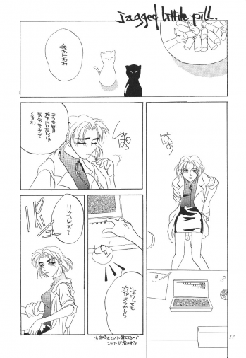 (CR19) [Digital Lover (Takanami Sachiko)] DESIR SEXUEL (Neon Genesis Evangelion) - page 16
