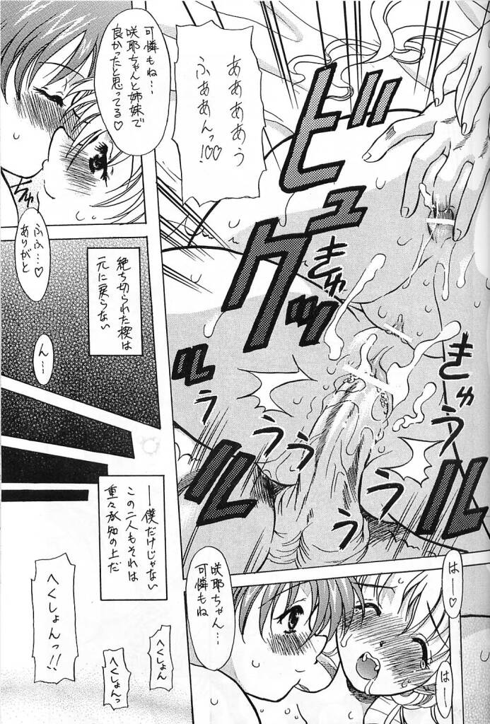 (C61) [Kyuushuu Settoudan, Unaginobori (Bau Bau, Tatsuya Kamishima, Yokoi Rego)] Dual Process (Sister Princess) page 24 full