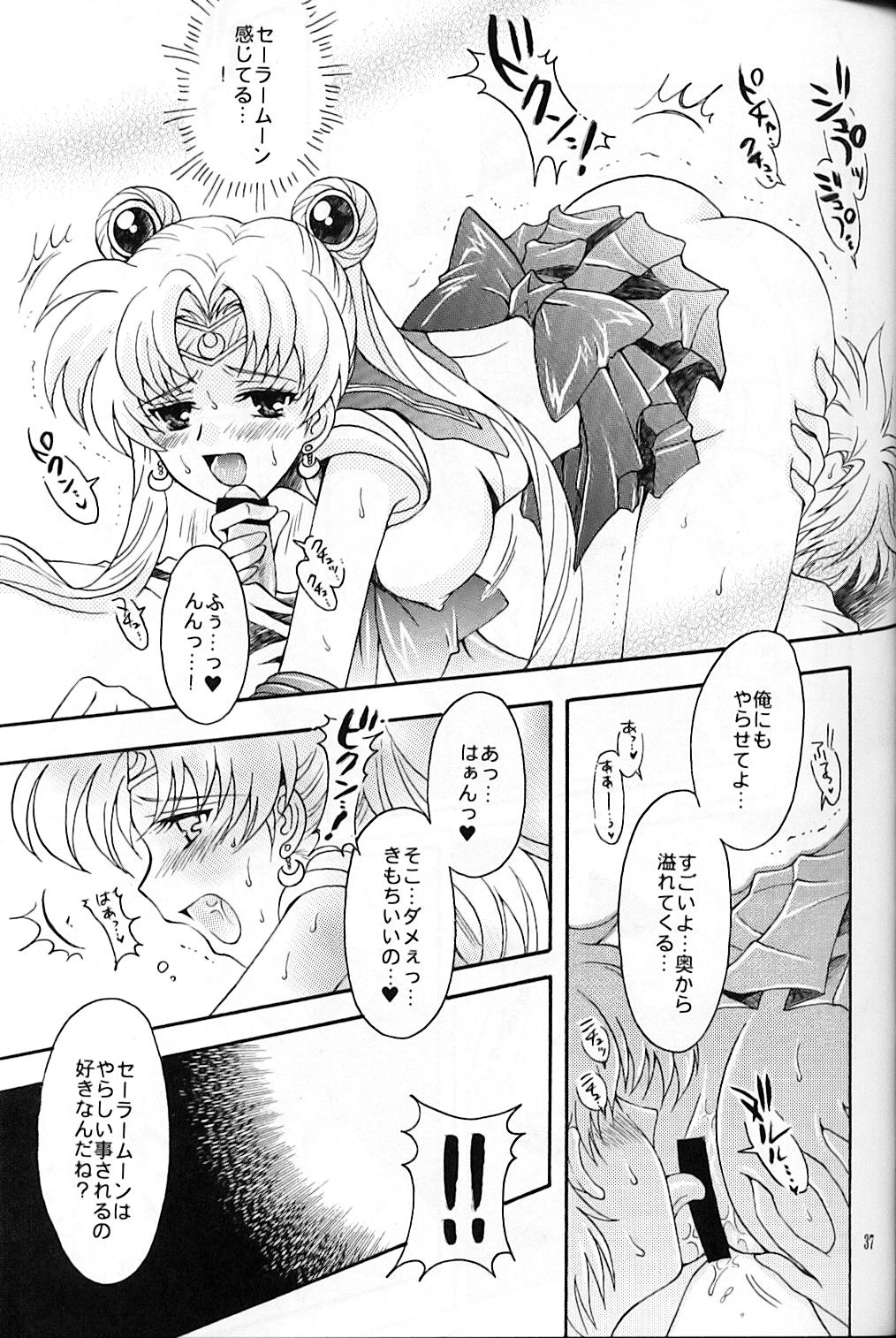 (C67) [Kotori Jimusho (Sakura Bunchou)] chanson de I'adieu (Sailor Moon) page 38 full