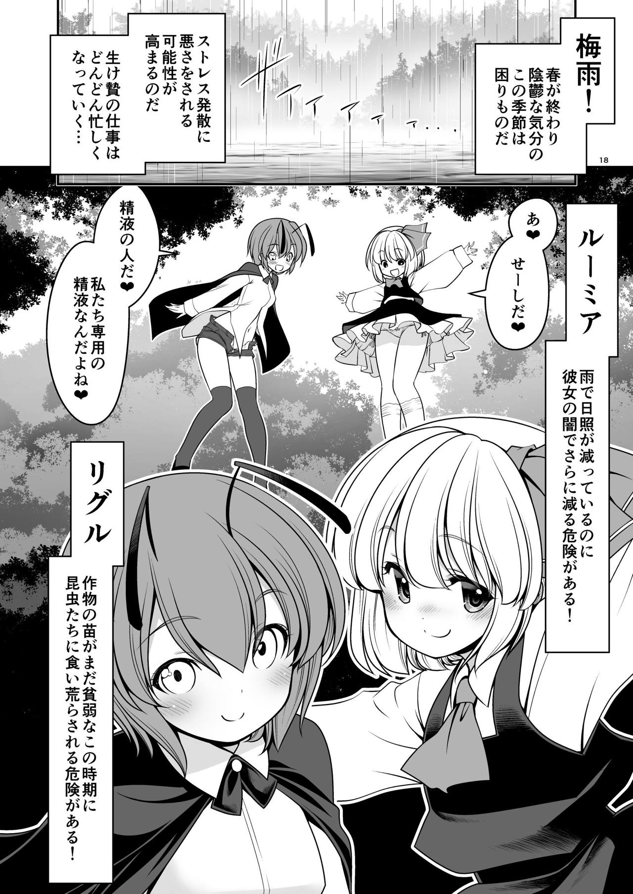 [Yosutebito na Mangakaki (Tomoki Tomonori)] Nureru Kiri no Mizuumi (Touhou Project) [Digital] page 18 full
