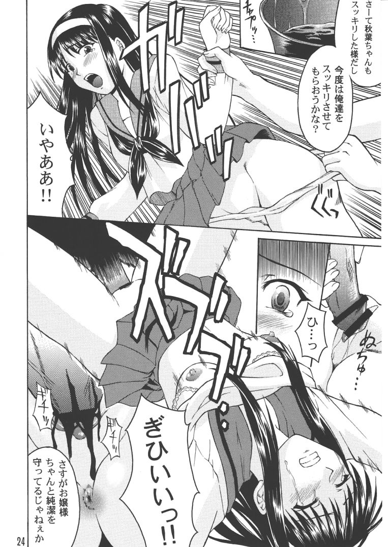 (C61) [Nanairo Koubou (Martan)] Momijiiro no Tsuki (Tsukihime) page 23 full