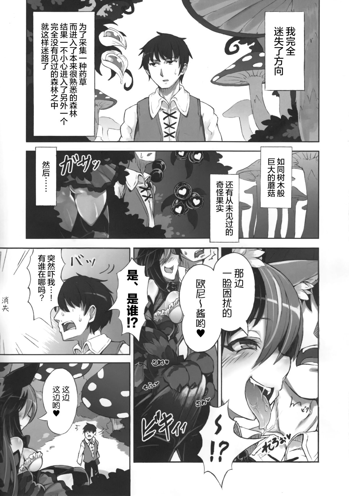 (C89) [Kurobinega (Kenkou Cross)] Mamono Musume Zukan Higai Houkoku ~Cheshire Neko no Oidemase Fushigi no Kuni~ [Chinese] [无毒汉化组] page 4 full