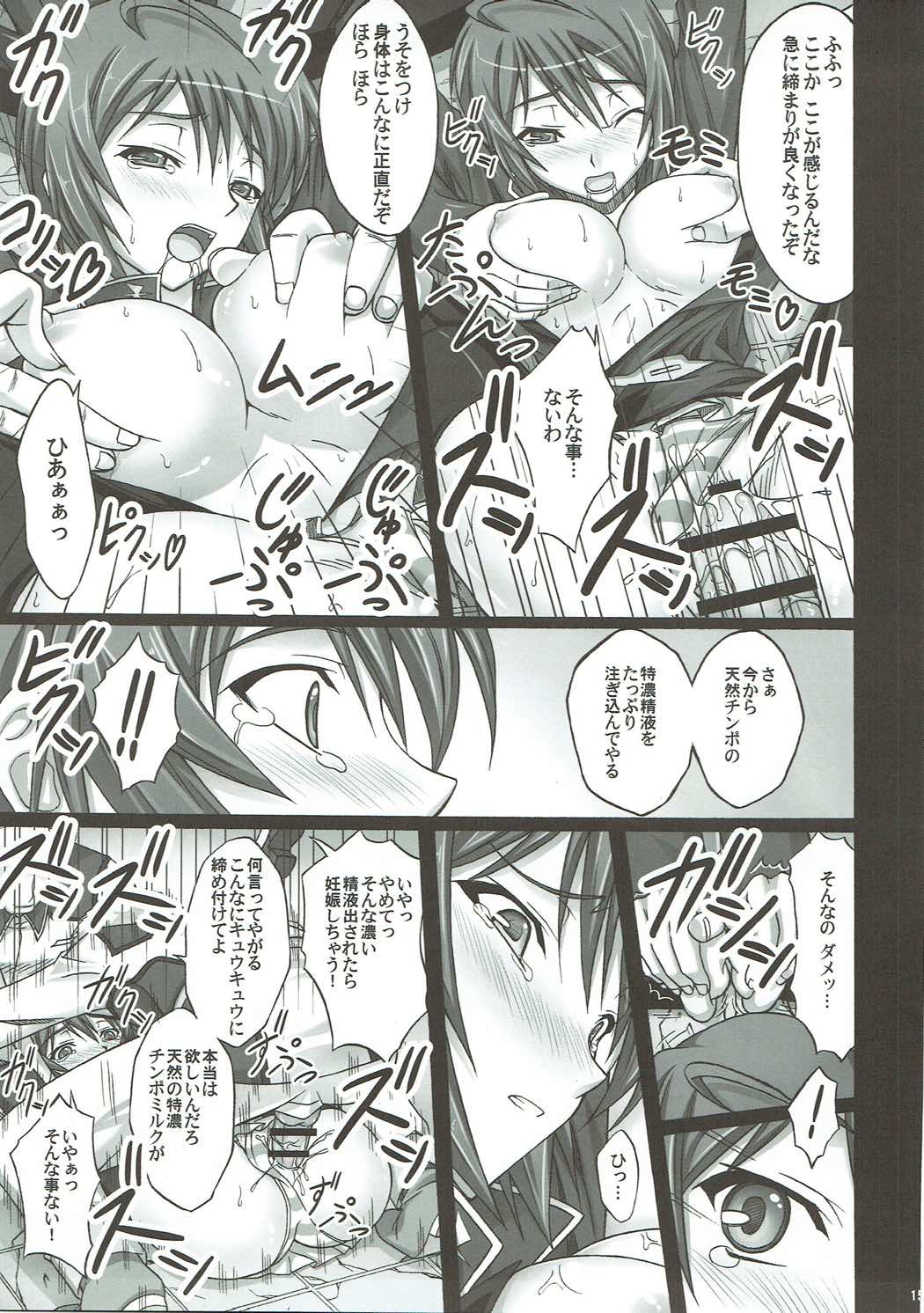 [Ishikari Shake Nabe Doukoukai (Takahiro Ringu)] Natural Cook -Tennensei Shibori- (GUNDAM SEED DESTINY) page 14 full