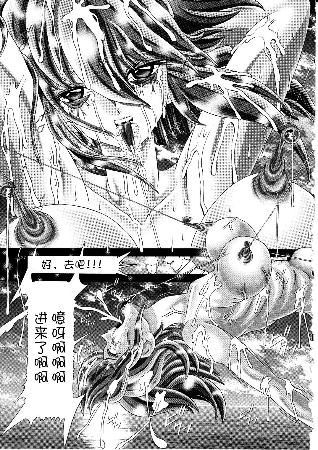 (C77) [Kaki no Boo (Kakinomoto Utamaro)] RANDOM NUDE Vol.5 92 〔STELLAR LOUSSIER〕 (Gundam Seed Destiny)【chinese】 page 28 full