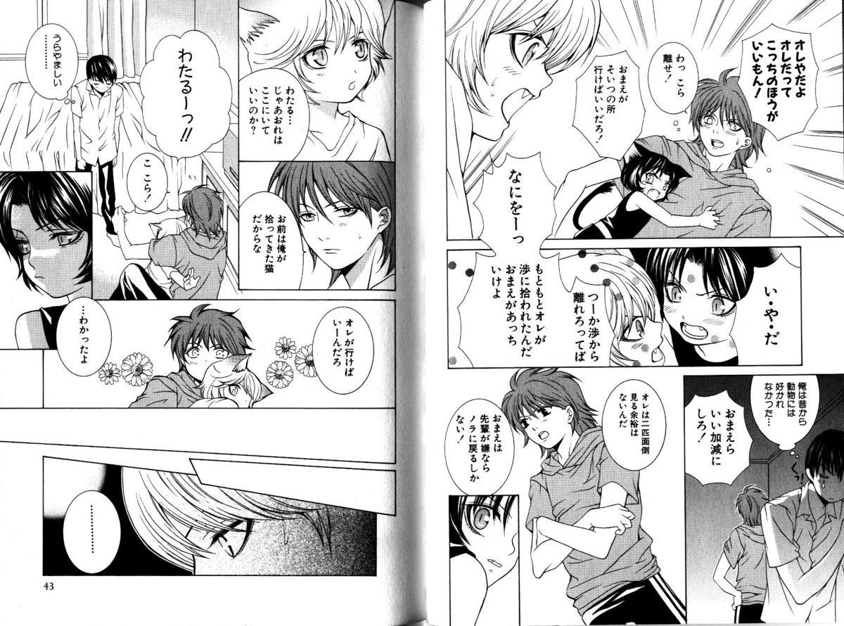 Akana Meiko - Nekokan page 24 full