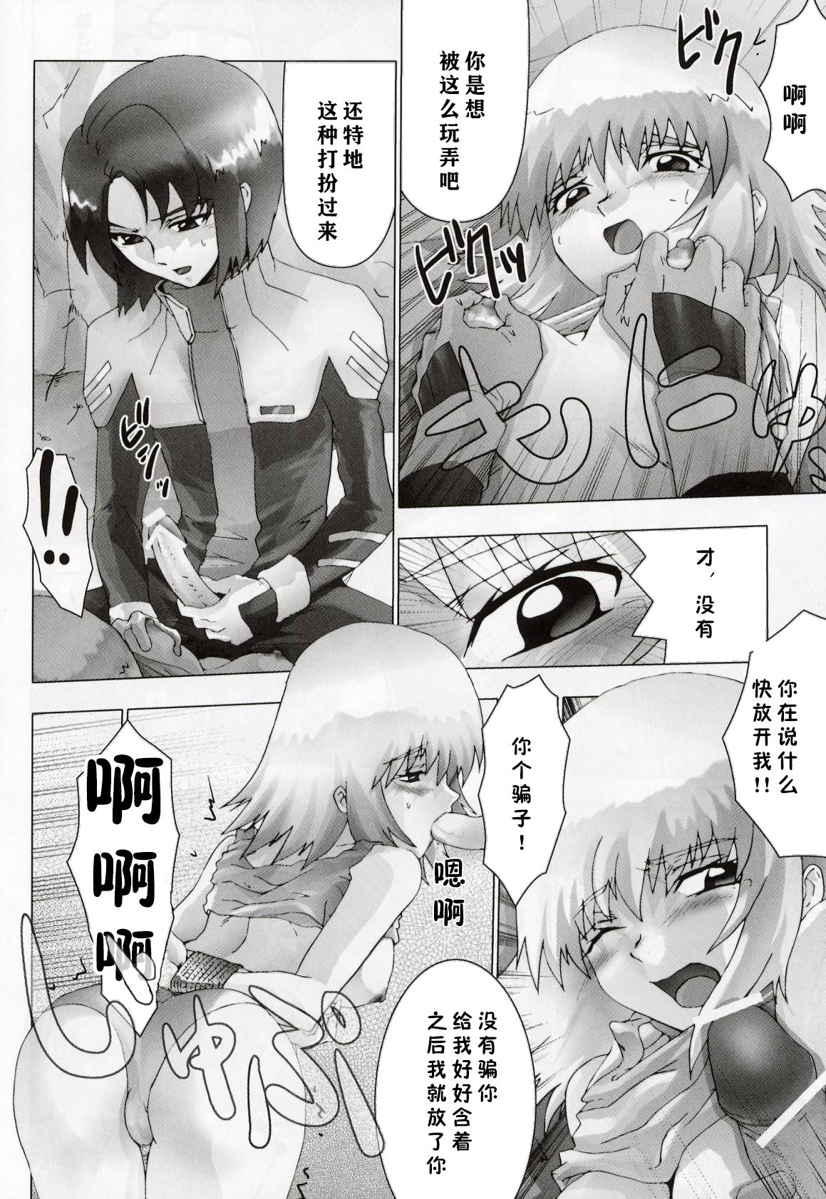 (C64) [Toluene Ittokan (Pierre Norano, Shinagawa Ham)] Ketsu Megaton Seed (Gundam Seed) [Chinese] 【零食汉化组】 page 10 full