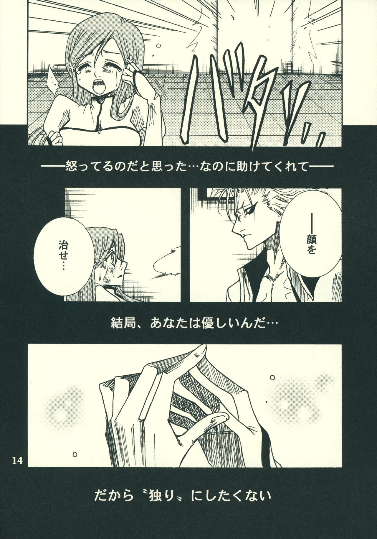 (SUPER17) [Funny Devil (Okada Reimi)] Shinjitsu no Kakera (Bleach) page 13 full