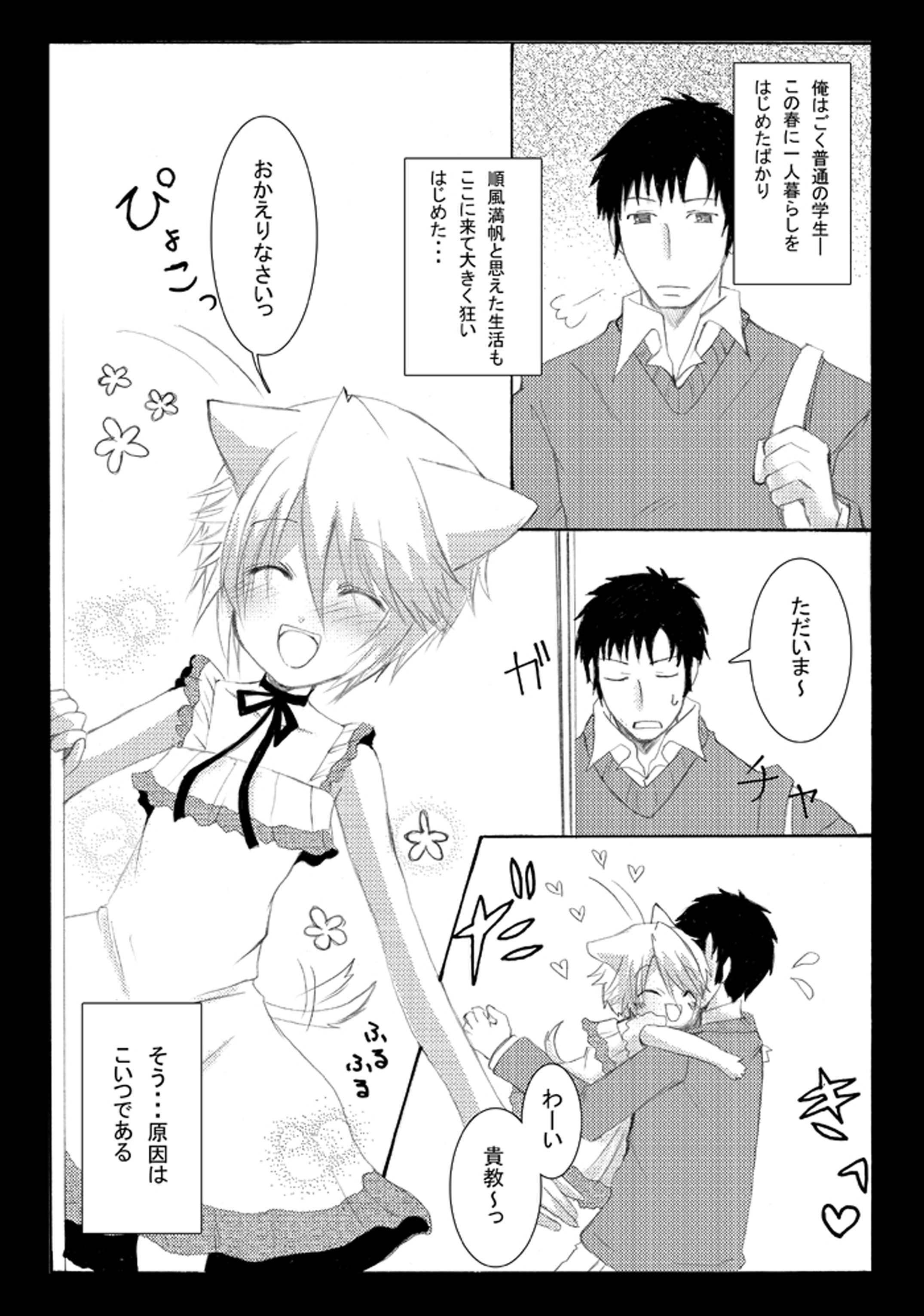 [Seiwa Kanmu (Tamaru)] Nyanko to Nyan Nyan [Digital] page 3 full
