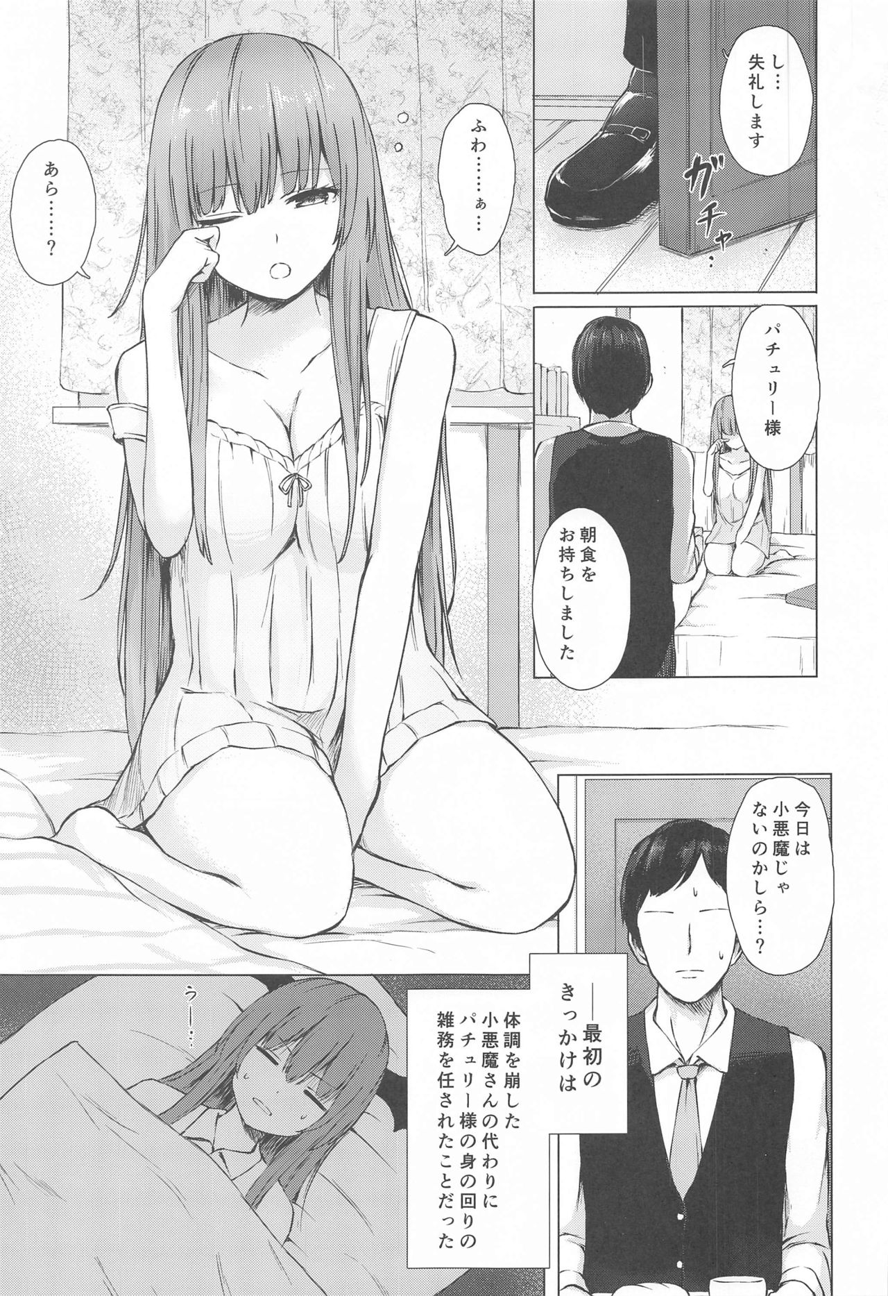 (Meikasai 14) [Tekomenchi (Techi)] Patchouli Knowledge Kaihatsu Kiroku (Touhou Project) page 2 full