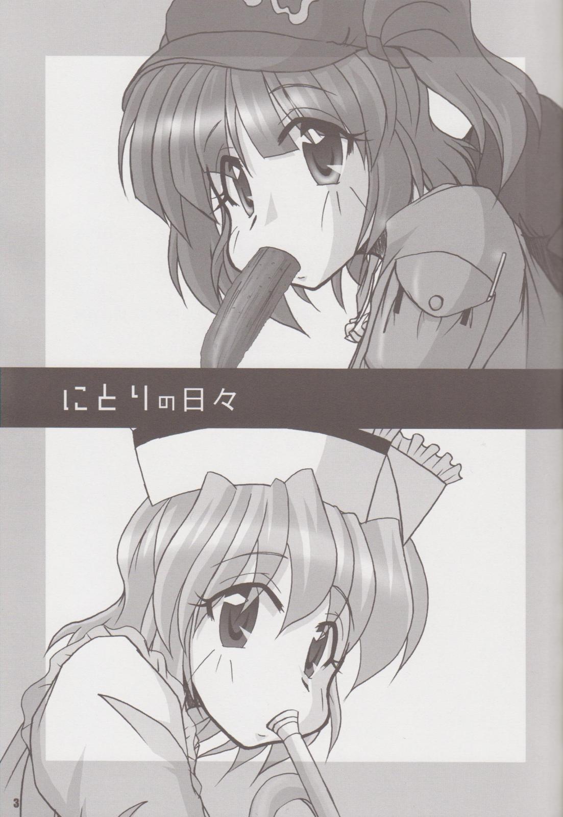 [Yohitama] Nitori no Hibi (Touhou) page 2 full