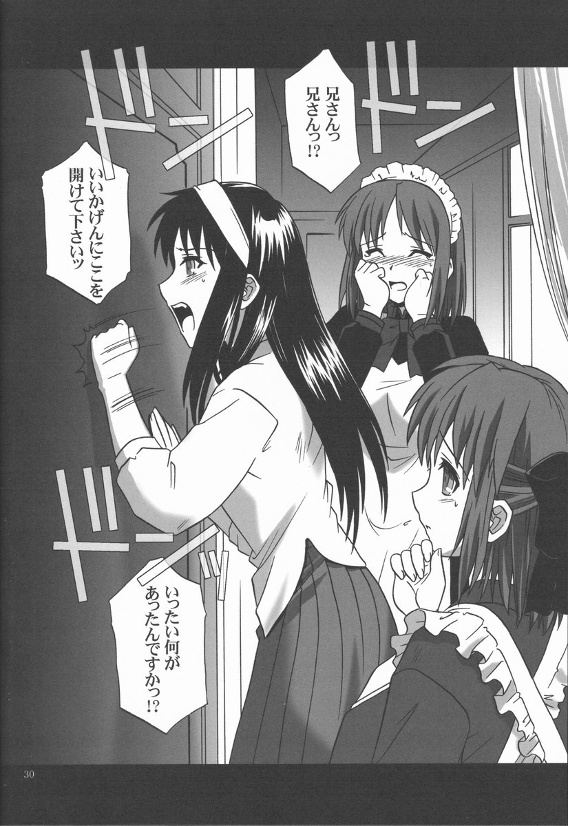(C62) [.30-06 (Tsutsumi Akari)] Mitsugetsu Vol. 2 (Tsukihime) page 29 full