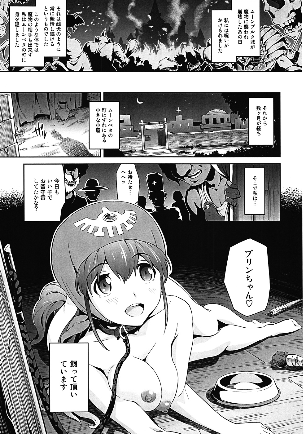 [sin-maniax (Todoroki Shin)] Shinsetsu Inu ni natta Oujo-sama (Dragon Quest II) [2012-09-01] page 4 full