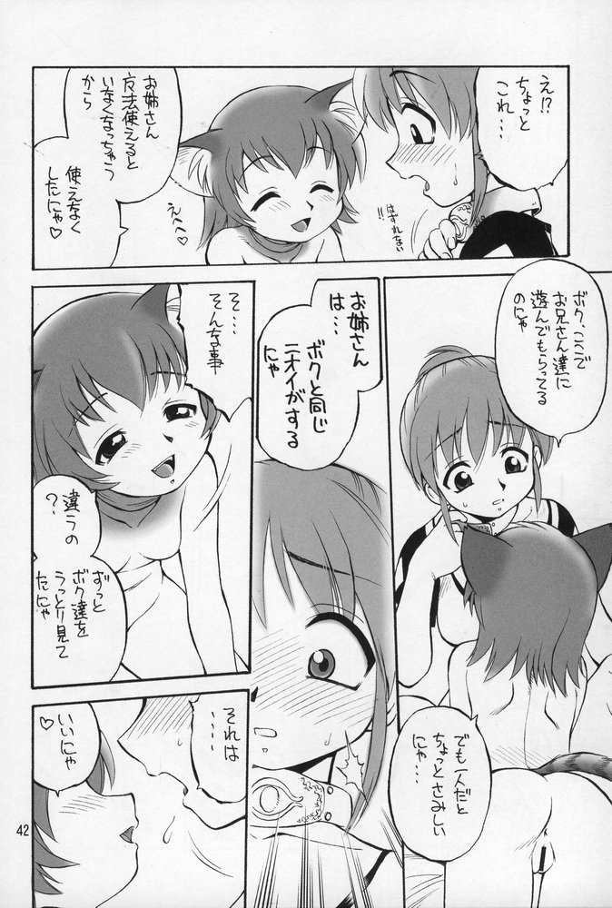 (C68) [Jack-O'-lantern (Ebifly, Neriwasabi)] Neko Panchu (Final Fantasy XI) page 41 full