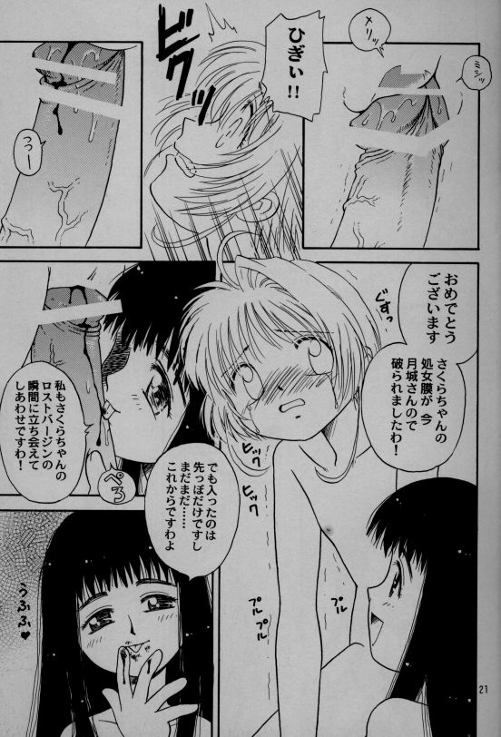 [DNKS] Seishokuya (Card Captor Sakura) page 21 full