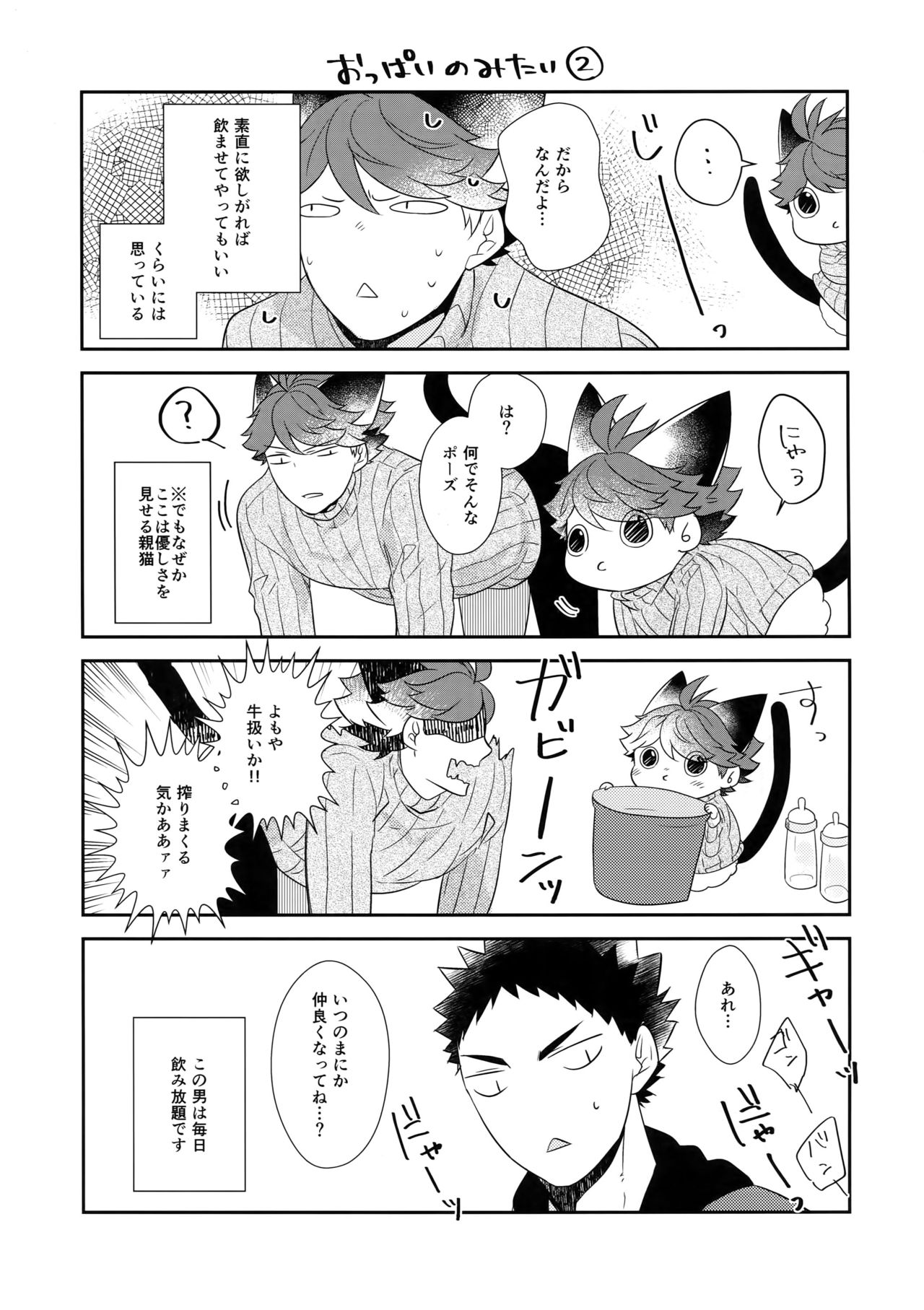 (RTS!!13) [Rototika (Kamishi Yue)] Iwachan no Neko ni Naritai 6 (Haikyuu!!) page 14 full