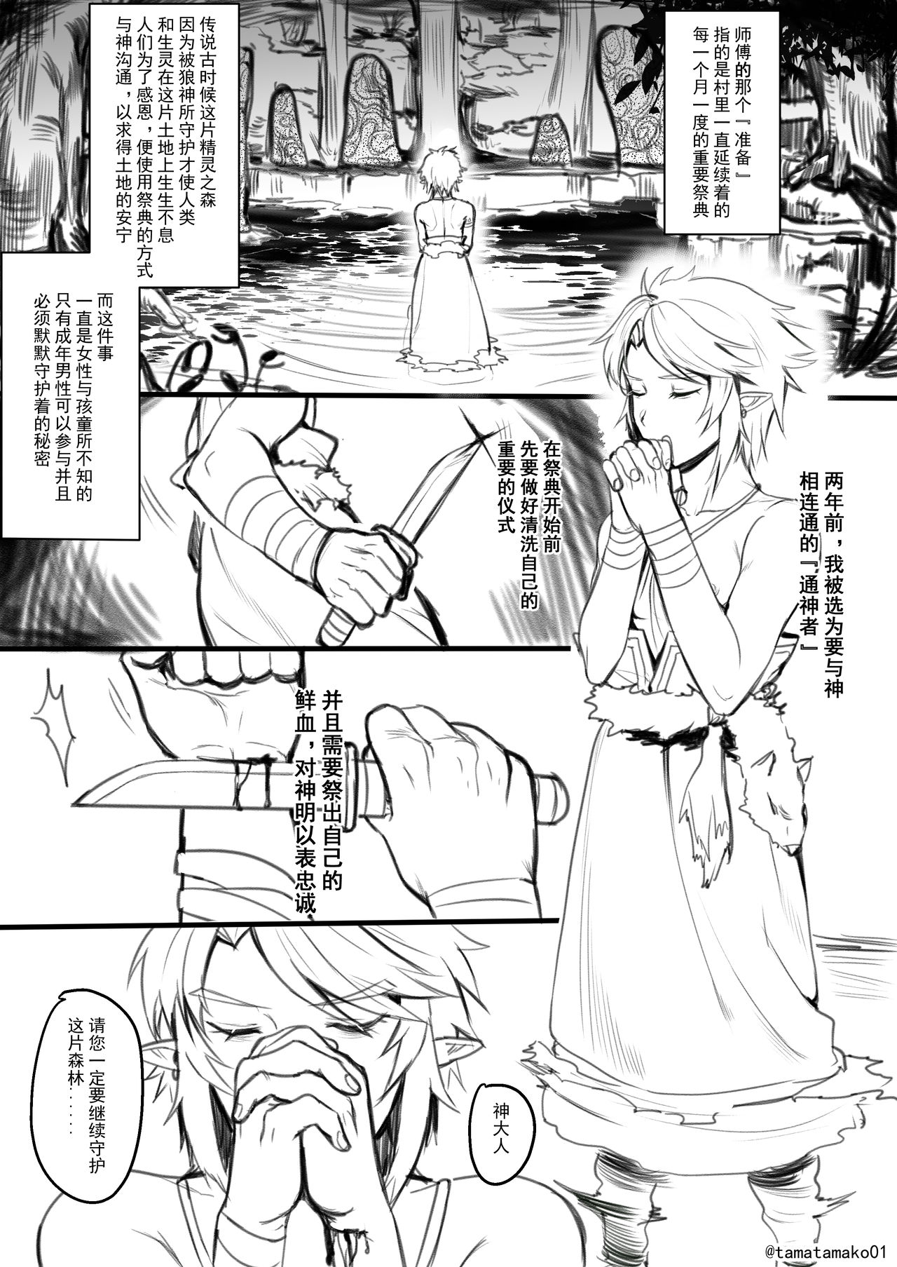 [Tamatamako] Seinaru Gishiki (The Legend of Zelda) [Chinese] page 3 full