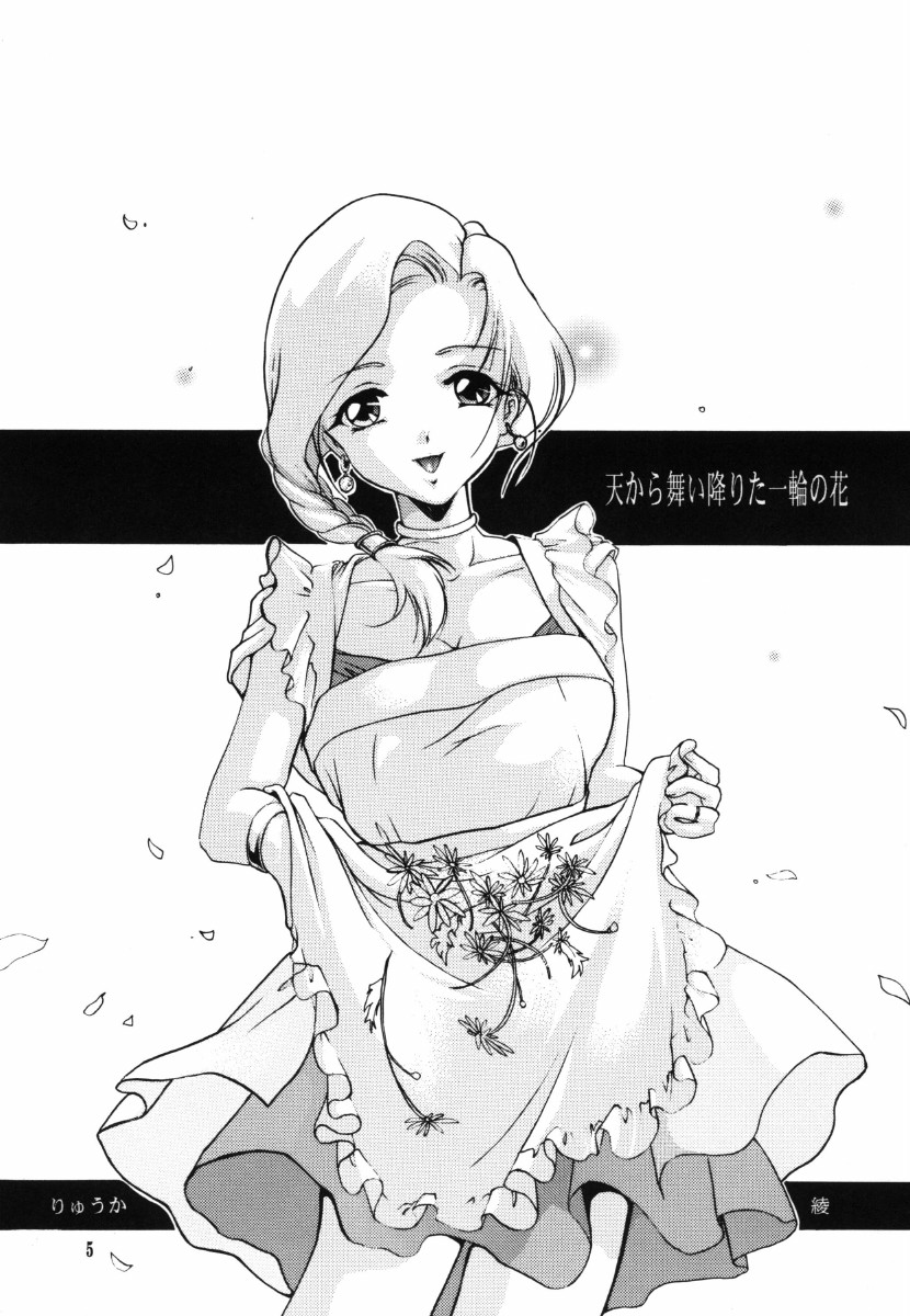 (C73) [Barbaroi no Sato (Ryuuka Ryou)] Ten kara Maiorita Ichirin no Hana (Dragon Quest V: Hand of the Heavenly Bride) page 5 full