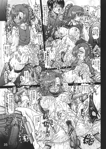 (C66) [Megami Kyouten (Aoki Reimu)] Waku Waku Venus Land!! Ver.2 (Dead or Alive Xtreme Beach Volleyball, Onegai Teacher) - page 34
