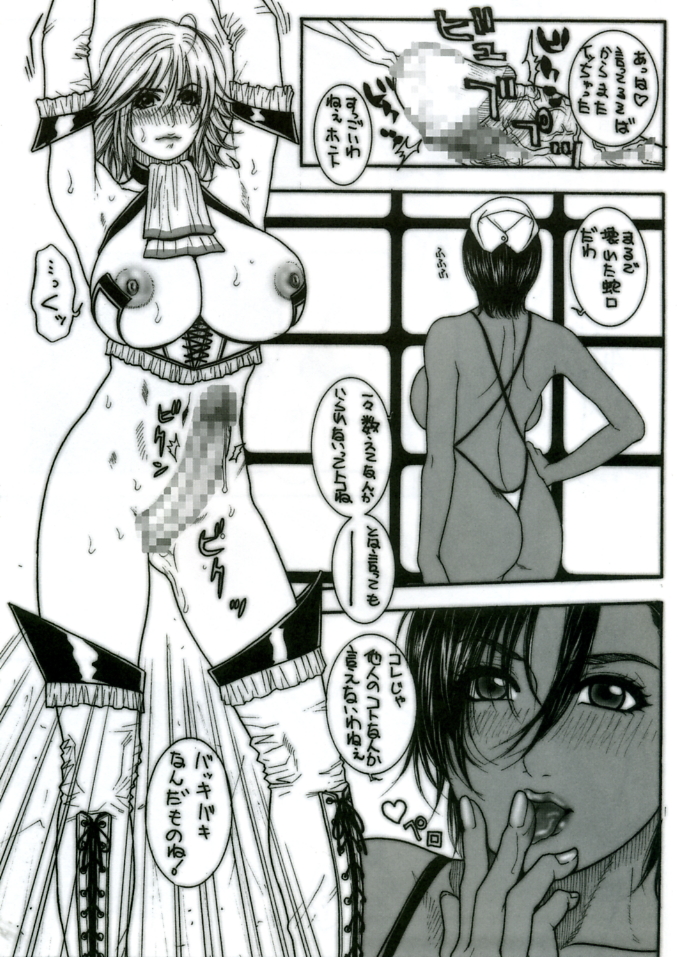 (C68) [H&K (Kotobuki Kazuki)] Kakutou Ane Ane (Rumble Roses) page 11 full