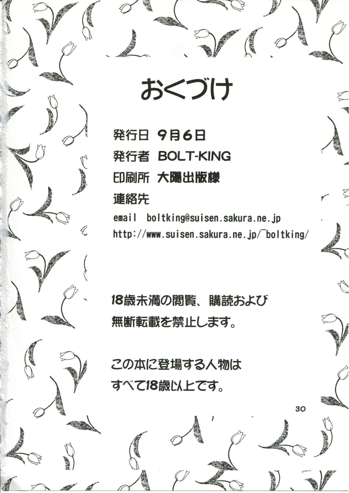 (C64) [BoLT-KING (Kanetaka Souichi, MU.)] Nadja OOO Lesson (Ashita no Nadja) page 29 full