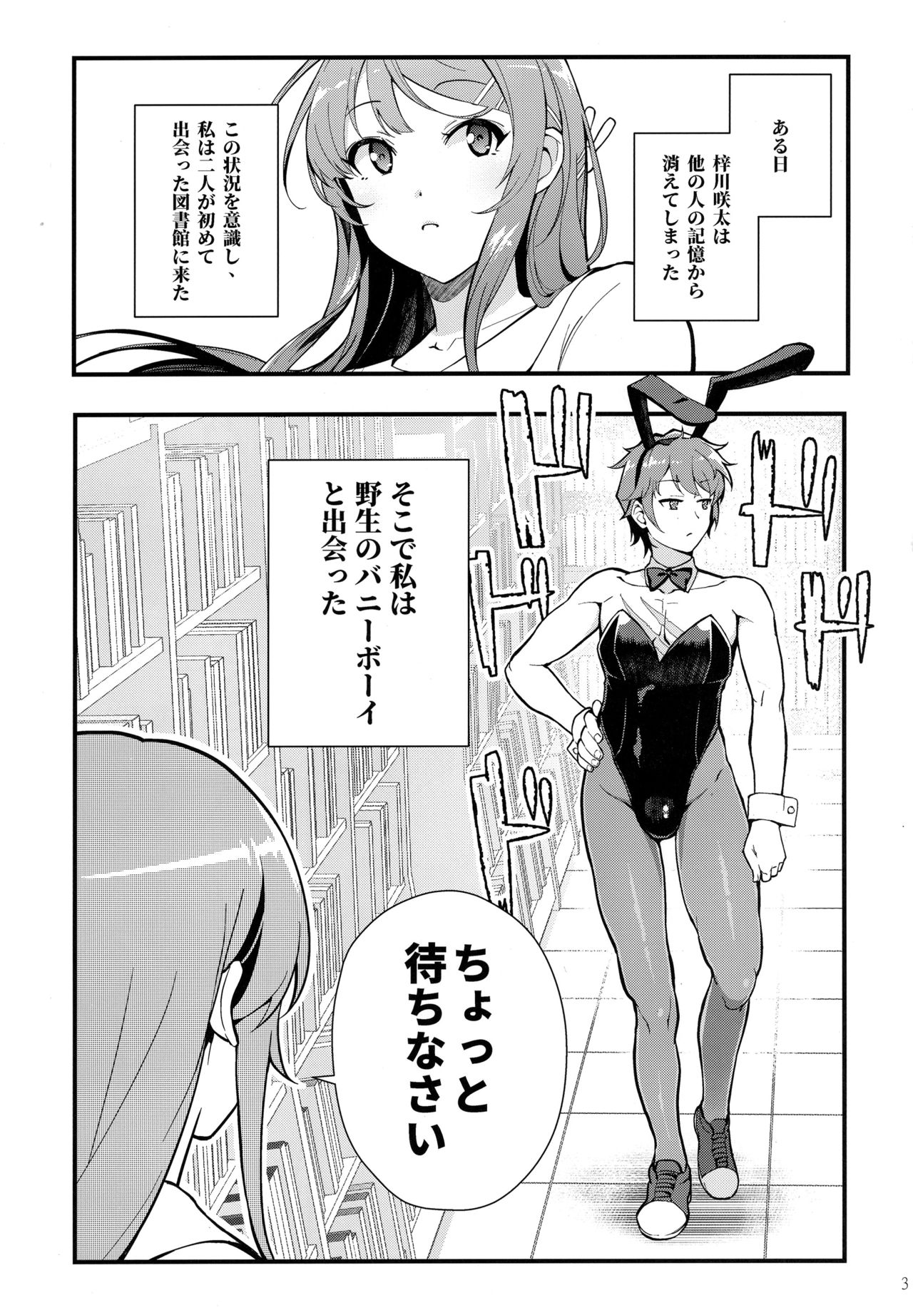 (C95) [Kayoudou (shouka)] Bunny Lovers (Seishun Buta Yarou wa Bunny Girl Senpai no Yume o Minai) page 4 full