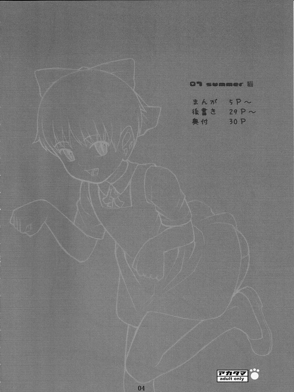 (C72) [Akatama (Sakurafubuki Nel)] 07 Summer Neko (Gegege no Kitarou) page 3 full