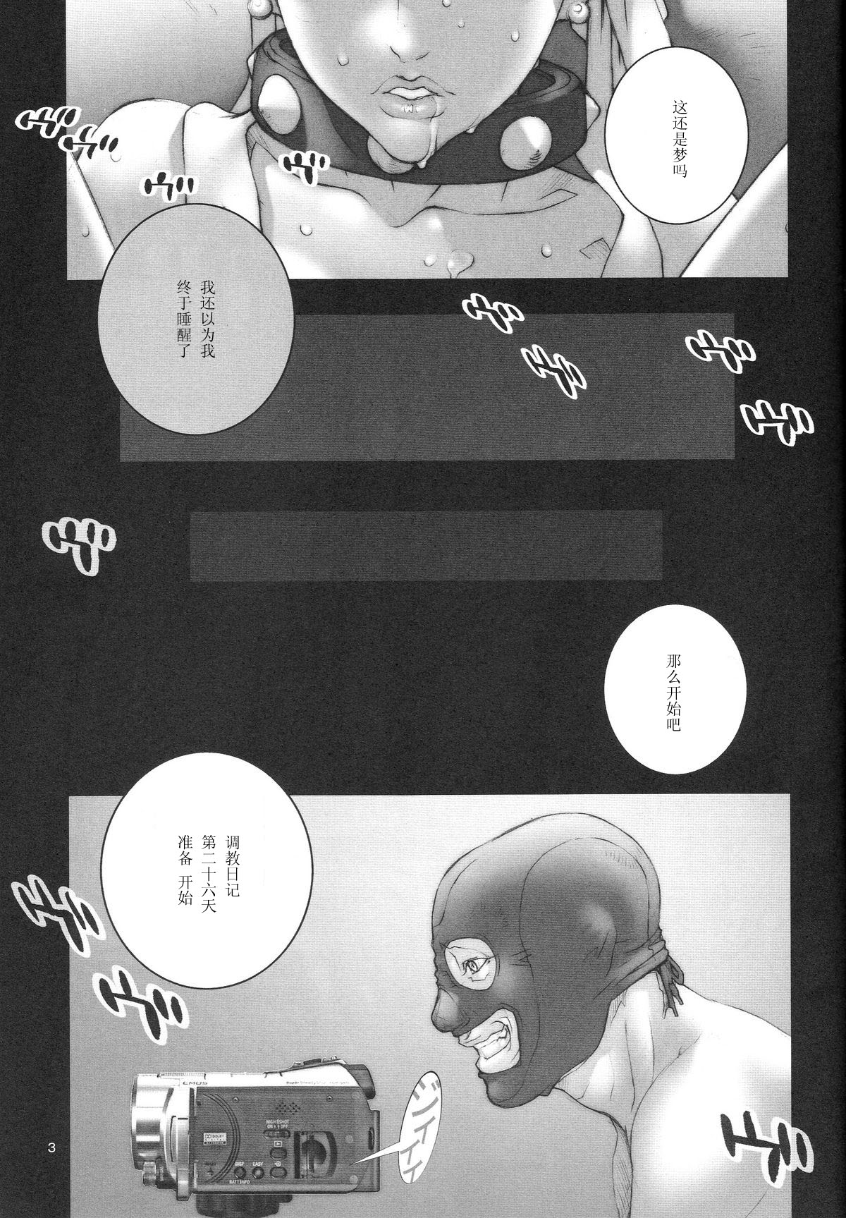 (C74) [P-collection (Nori-Haru)] Haru Urara (Street Fighter) [Chinese] [黑条汉化] page 4 full