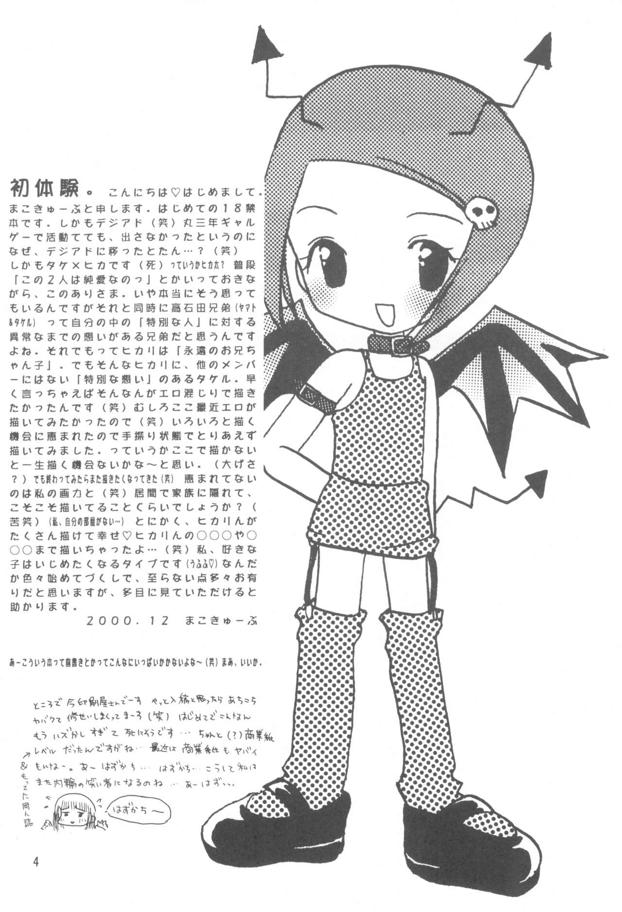 (C59) [Cheese-iri Kamaboko-dou (Mako Cube)] Hikari Mania (Digimon Adventure 02) page 6 full