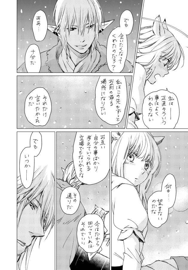[ASM-P (みっき)] オル光まとめました (Final Fantasy 14) [Digital] page 35 full