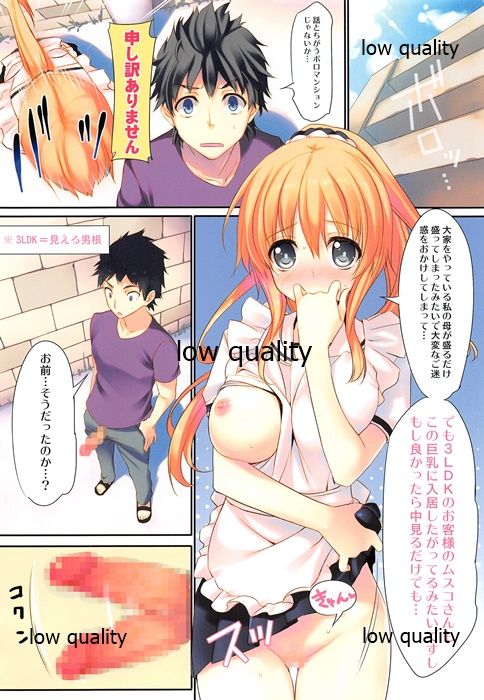 [WASABI (Tatami)] HEXAGRAM page 11 full