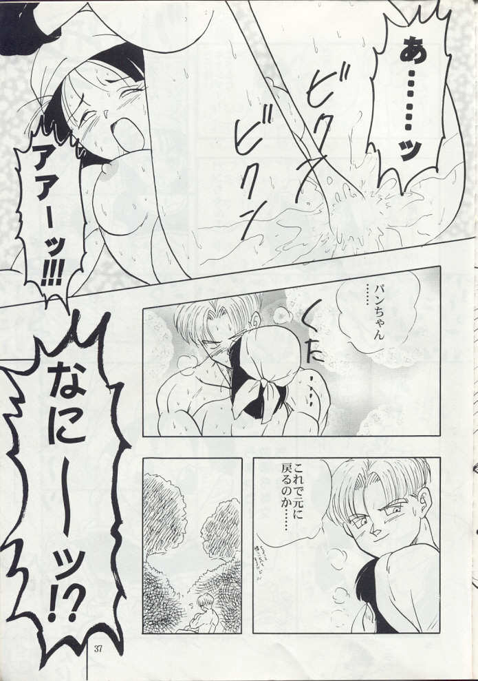 (C50) [Chirigami Goya, Fusuma go Ten (Shouji Hariko)] ZZ (Dragon Ball Z) page 37 full