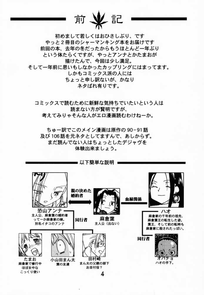 (CR28) [Megaplus (Okano Ahiru)] Shaman Queen (Shaman King) page 3 full