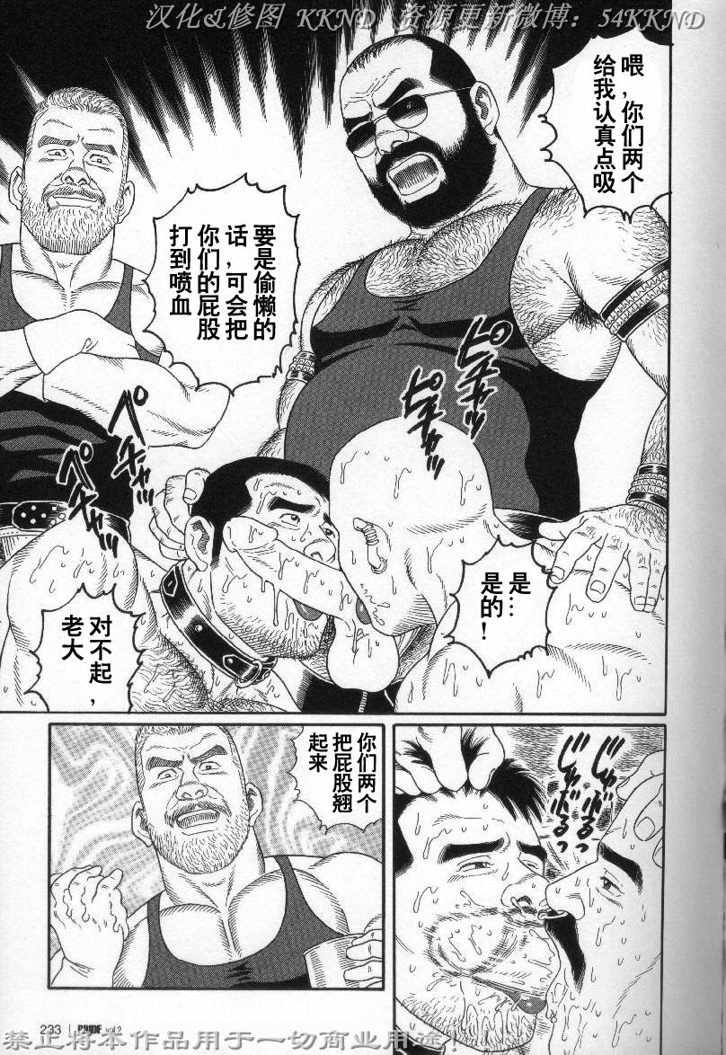 [Tagame Gengoroh] PRIDE Vol. 2 [Chinese] page 226 full