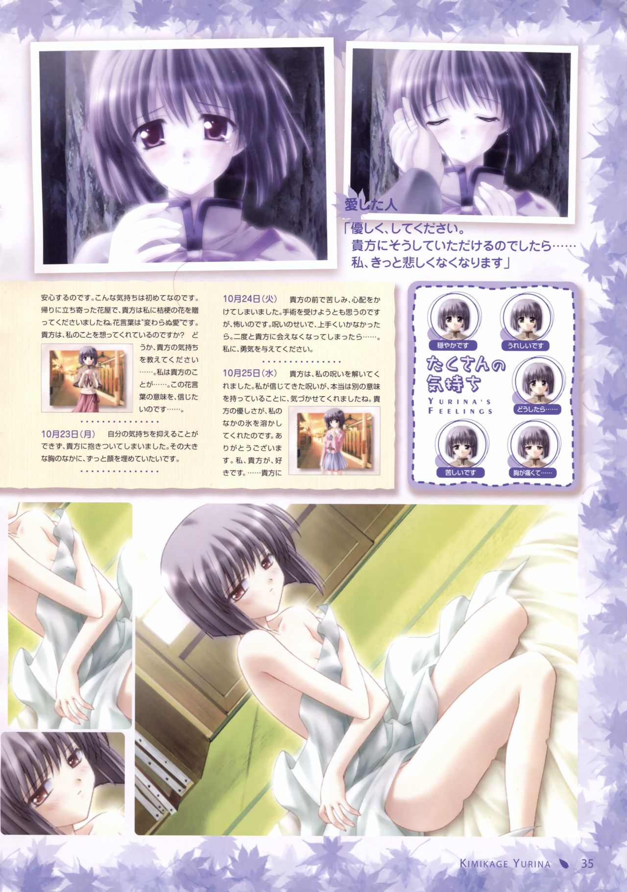 Canvas Sepia iro no motif Visual Fan Book page 33 full