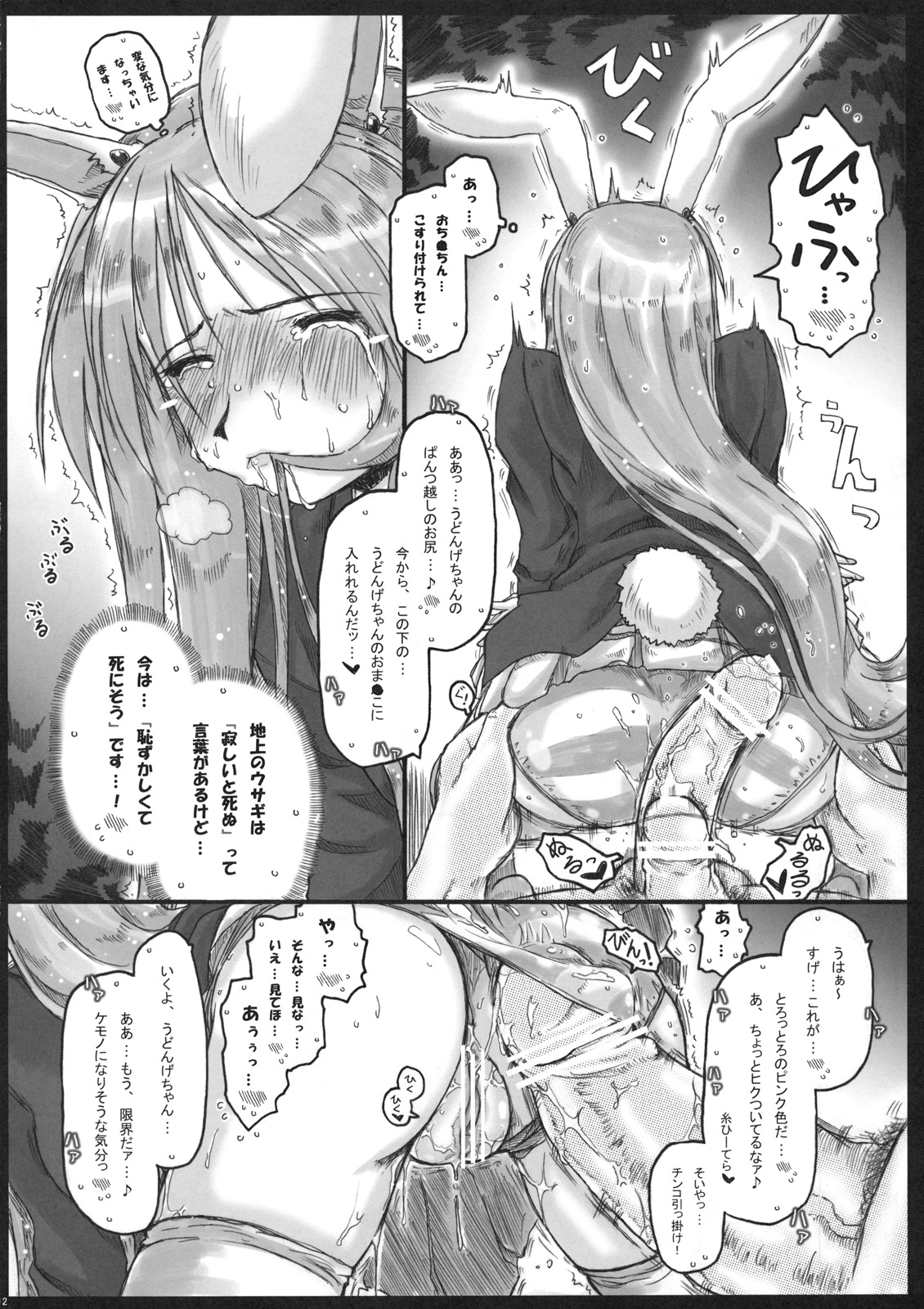 (COMIC1☆5) [Ankoku-Bousougumi (Ainu Mania)] MoshiUdo! (Touhou Project) page 12 full