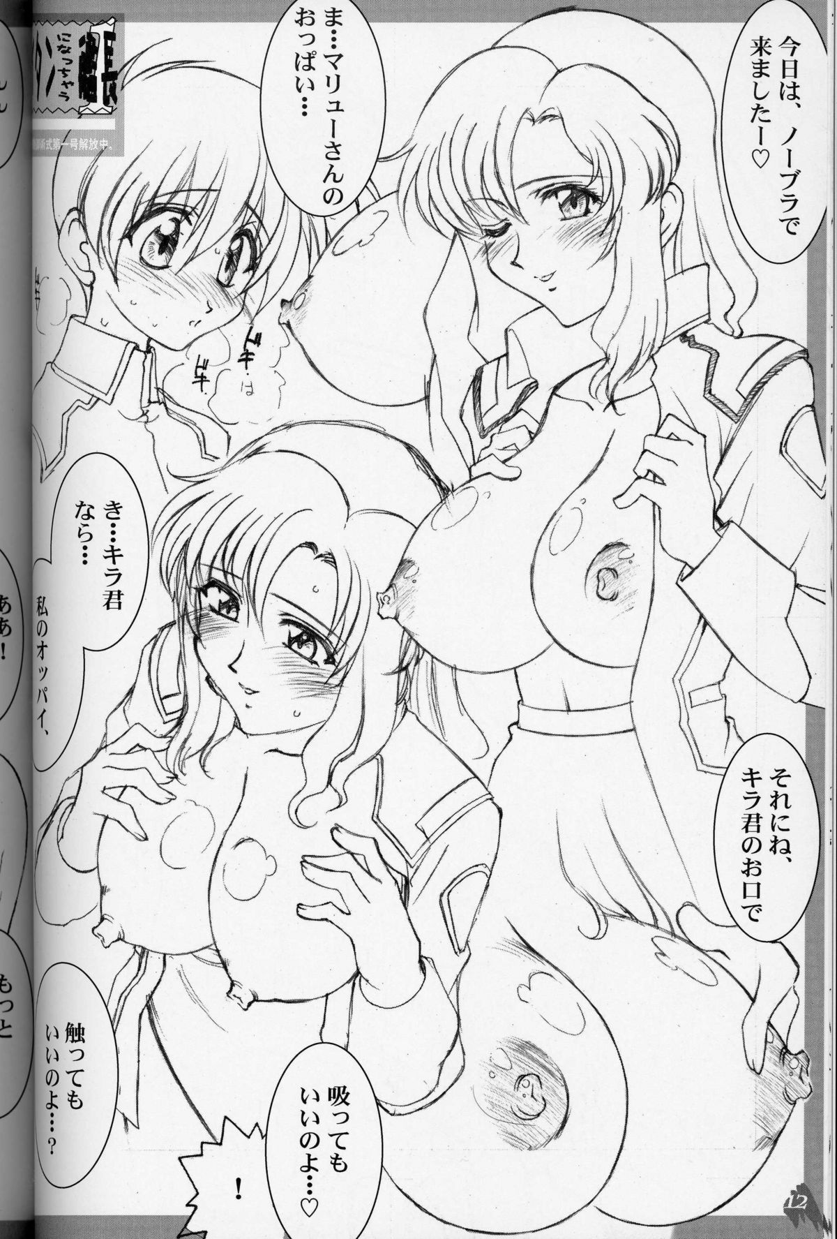 (C64) [LUCK&PLUCK! (Amanomiya Haruka)] MaryuKira Machine (Gundam SEED) page 11 full