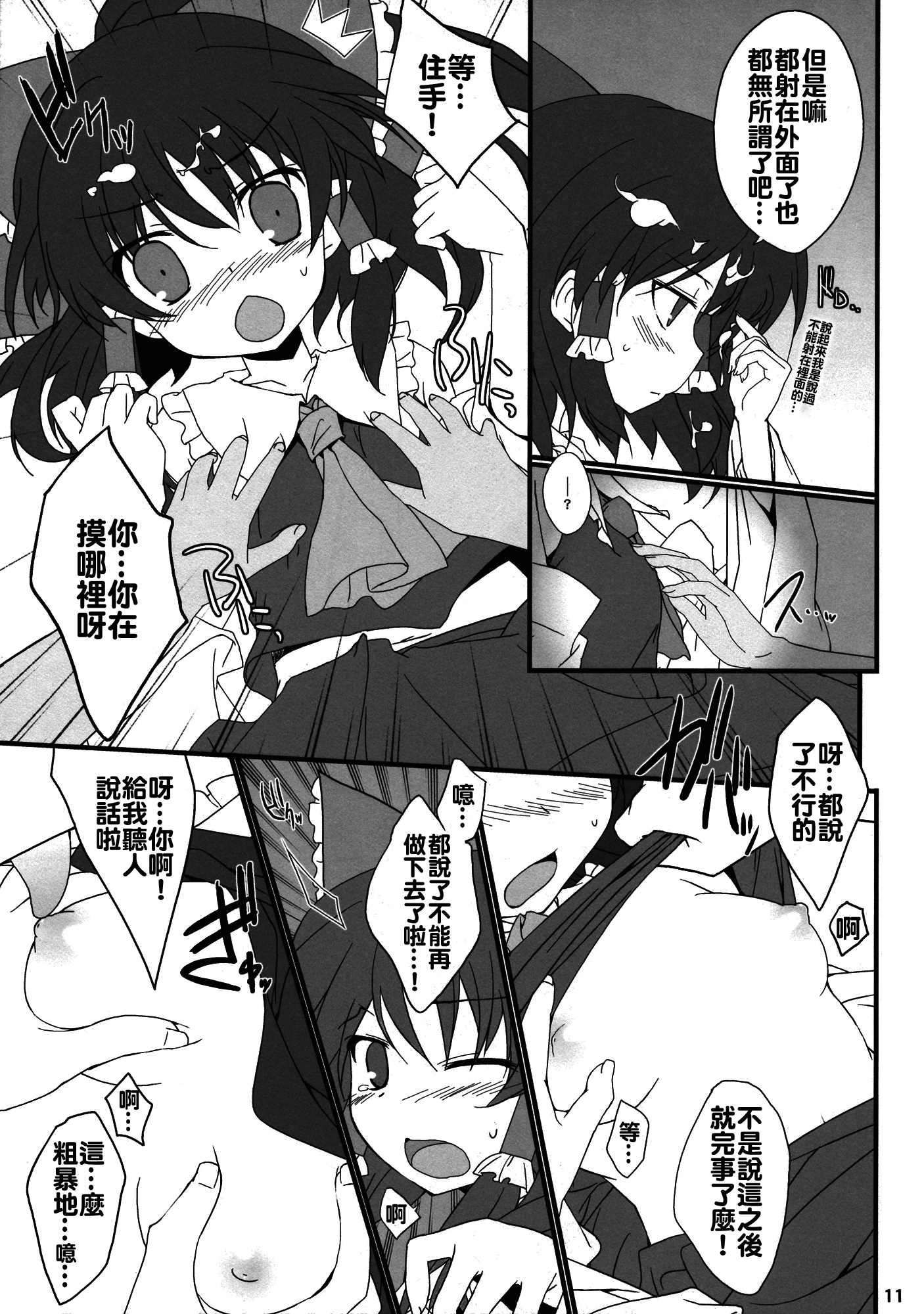 (C78) [Toriaezu (Kari) (Tororo)] Hakurei Rape (Touhou Project) [Chinese] [oo君個人漢化] page 11 full