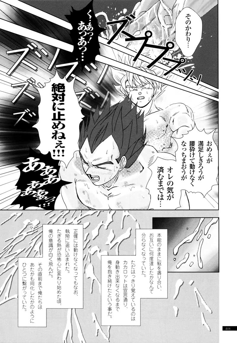 [GREFREE (ema)] Sairokua (Blaze, Voice, +A) (DRAGON BALL Z) page 13 full