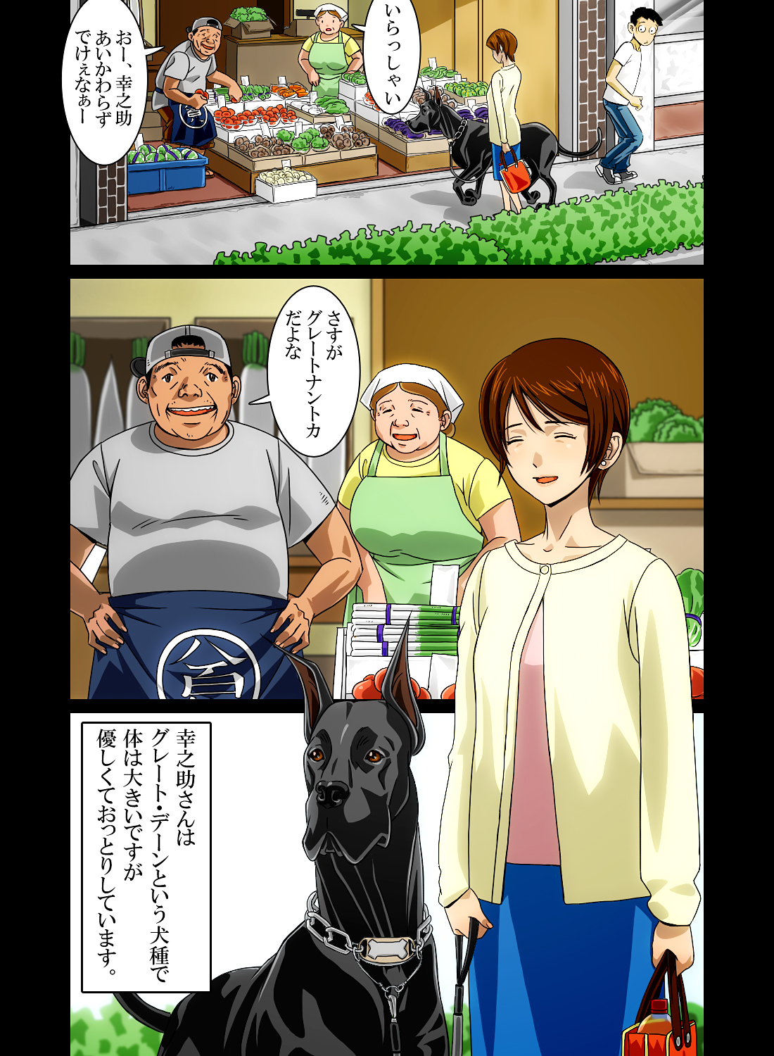 [Bonjin-do] “Wonderful Life” ~Shufu to “Aiken” no Hisoyaka na Gogo~ page 12 full