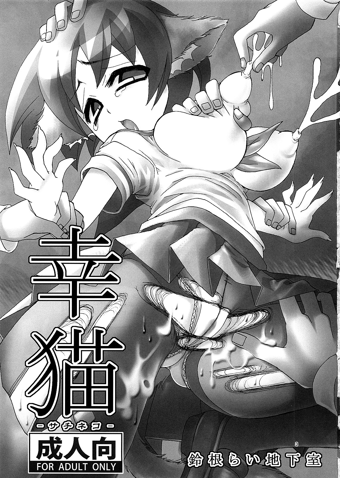 (C72) [Suzune Rai Chikashitsu (Suzune Rai)] Sachineko page 2 full