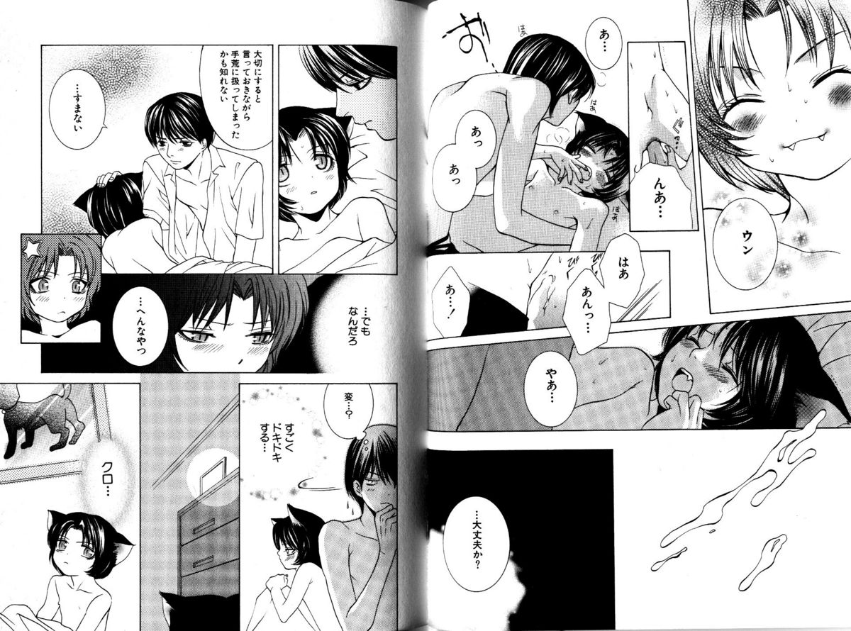 Akana Meiko - Nekokan page 29 full