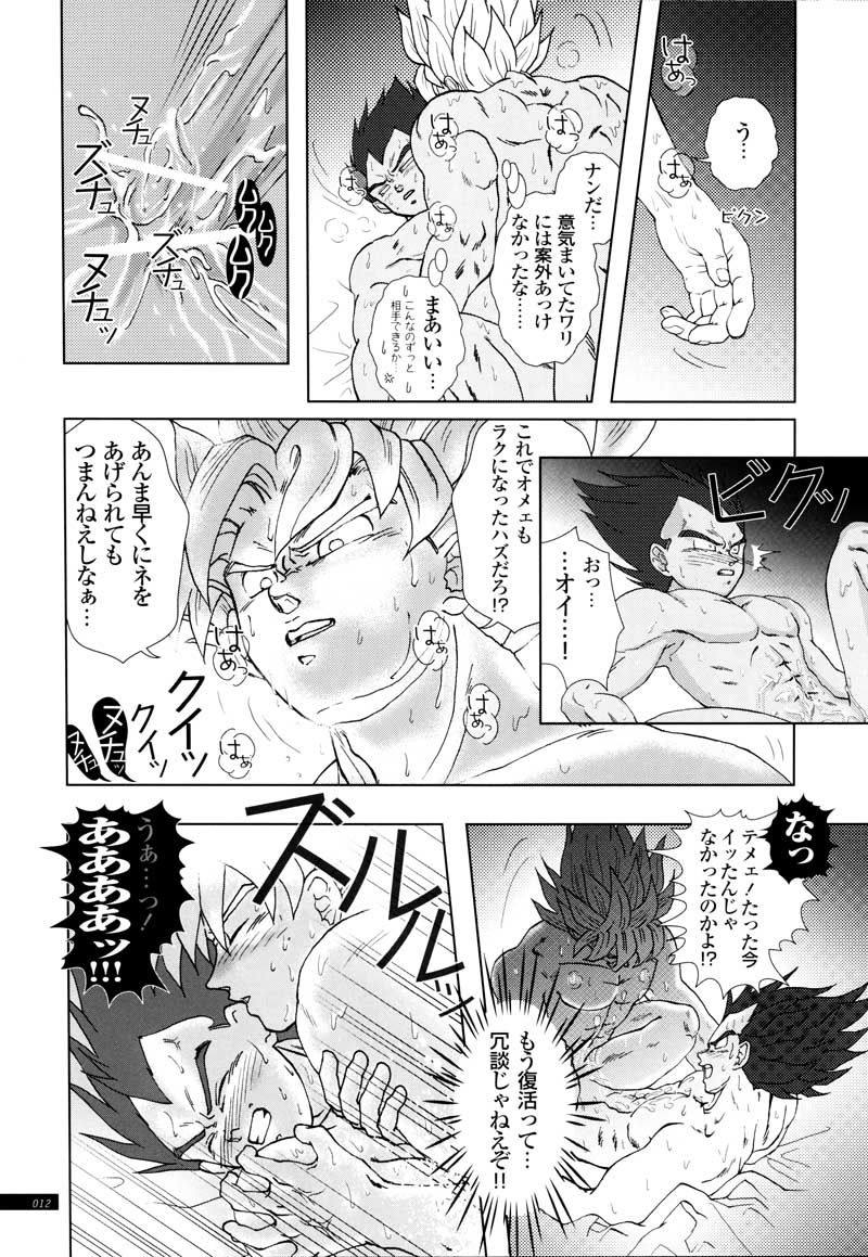 [GREFREE (ema)] Sairokua (Blaze, Voice, +A) (DRAGON BALL Z) page 10 full