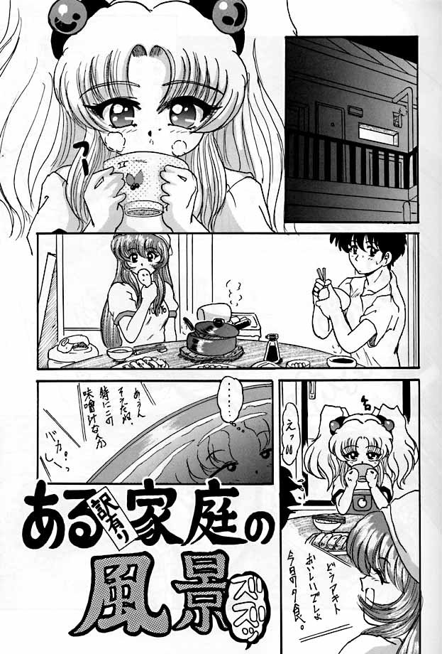 (CR25) [L-Gauge Sha (Shouryuu)] R3 (Martian Successor Nadesico) page 6 full