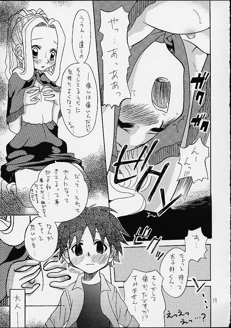 (C58)[Shamontei (Shamon)] I WISH (Digimon Adventure) page 18 full