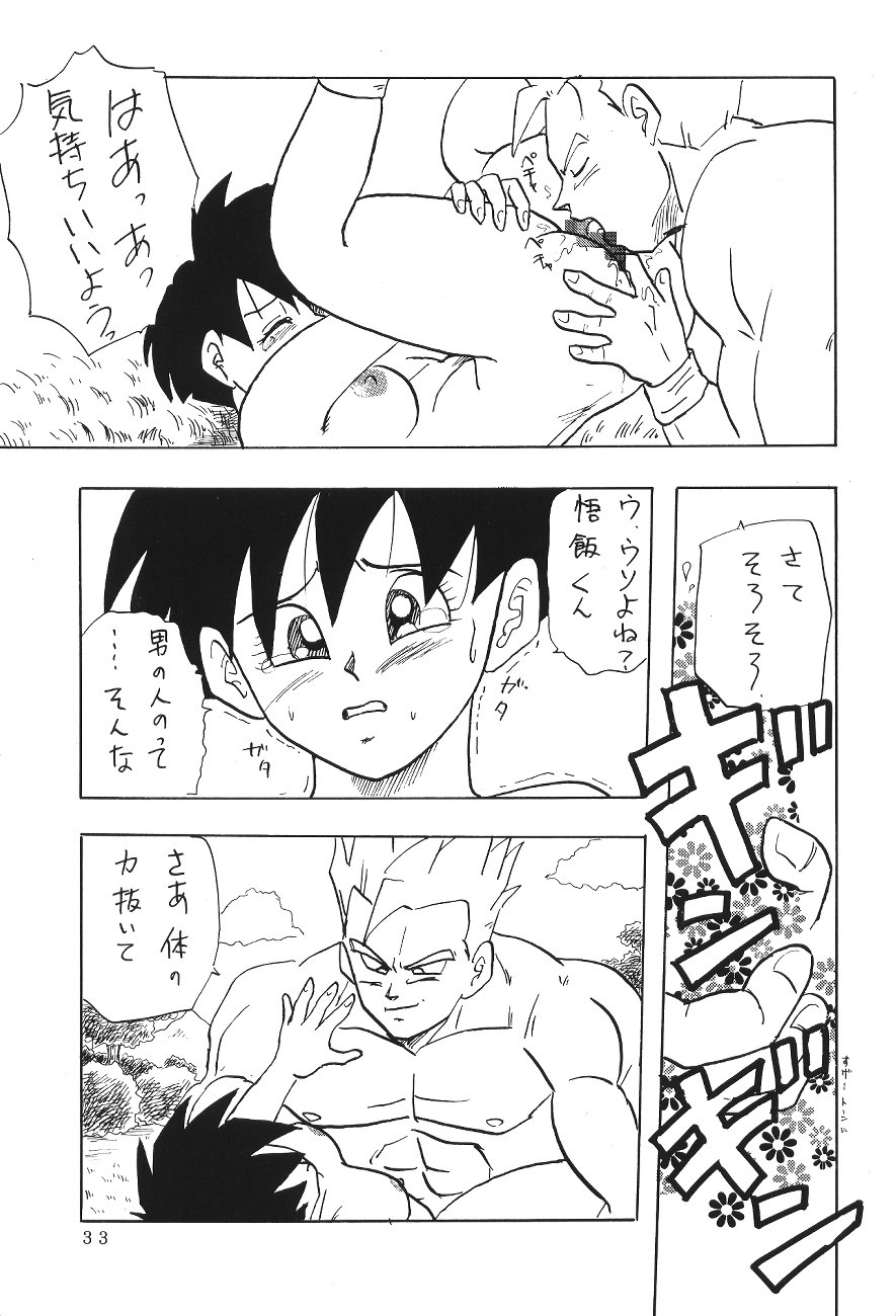 (C45) [Chirigami Goya, Fusuma go Ten (Shoji Hariko)] XXX (DRAGON BALL) page 32 full