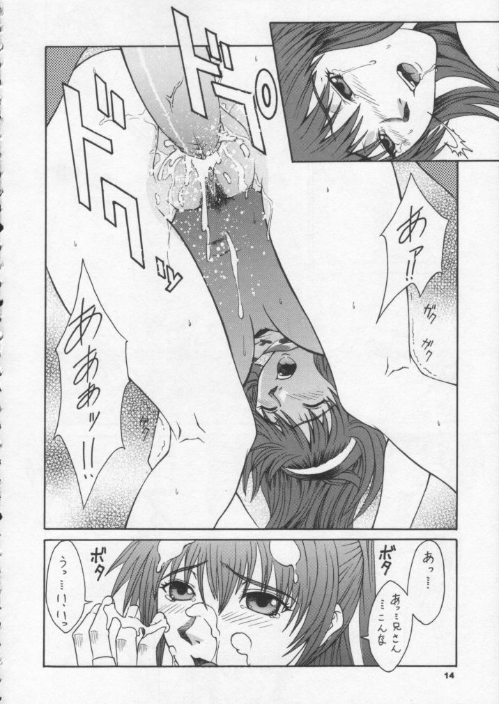 (CR31) [BREEZE (Haioku)] R25 Vol.6 D^3 (Dead or Alive) page 13 full