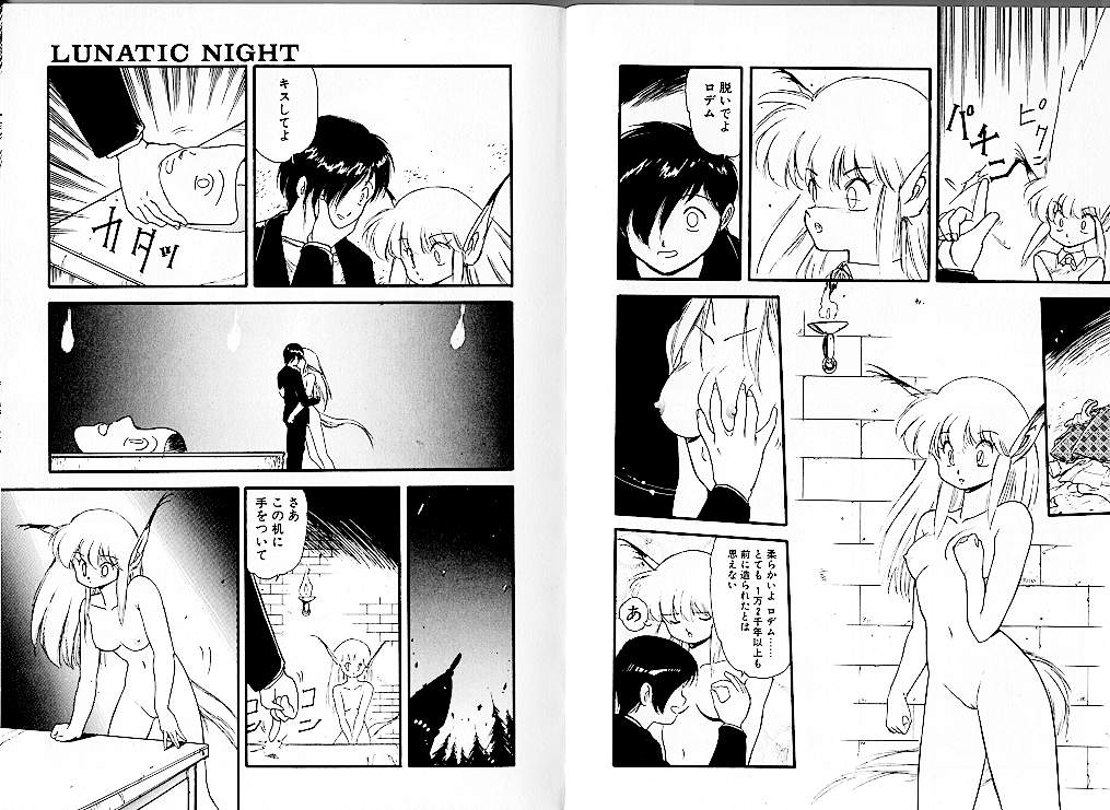 [Mii Akira] Lunatic Night 1 page 29 full