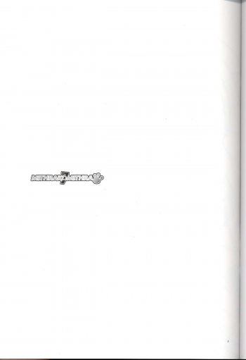 (C71) [AZA+ (Yoshimune)] Mithra ko Mithra 7 (Final Fantasy XI) - page 3