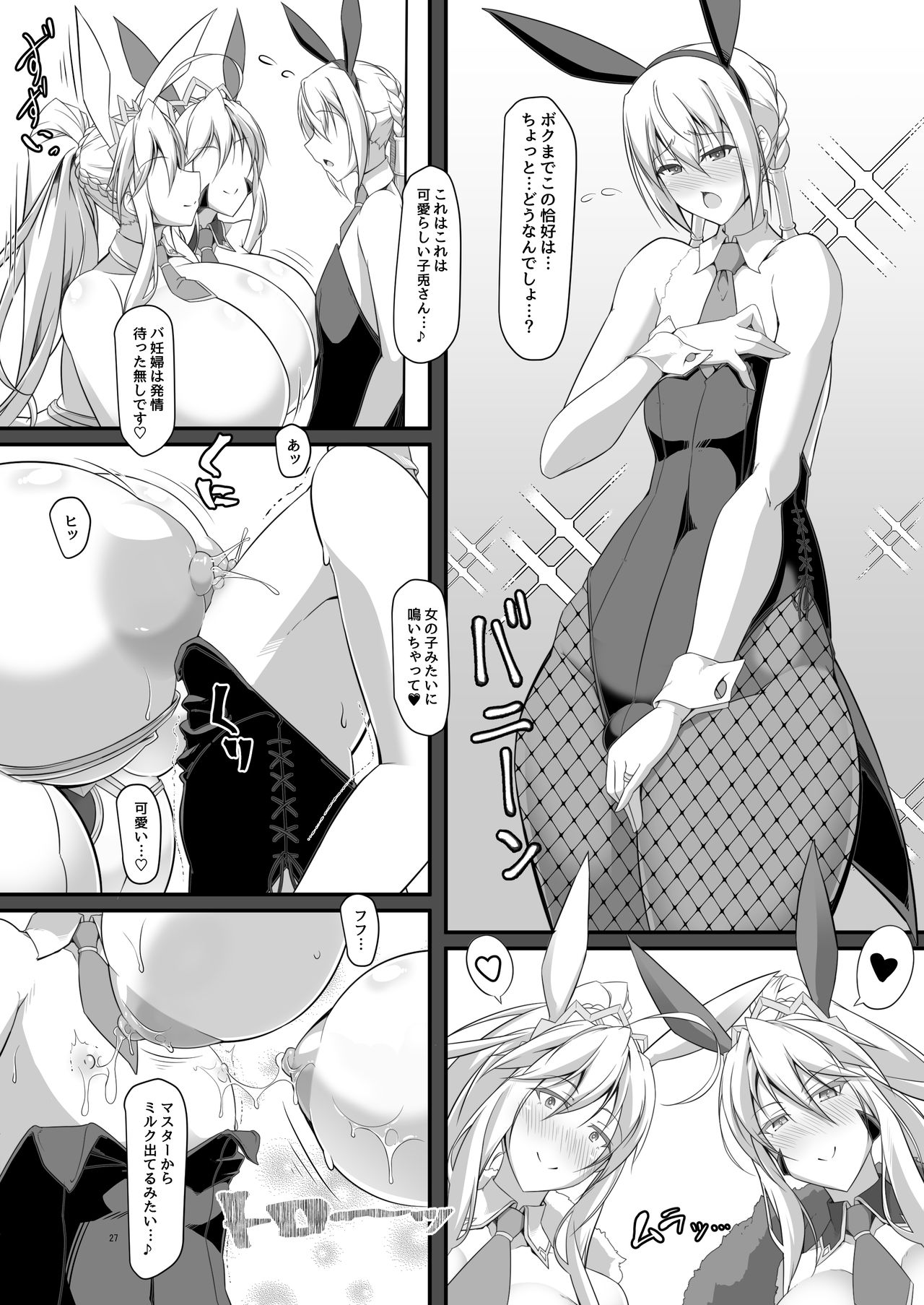 [IRON FIN (Tethubire)] Souou to Maguau II (Fate/Grand Order) [Digital] page 27 full