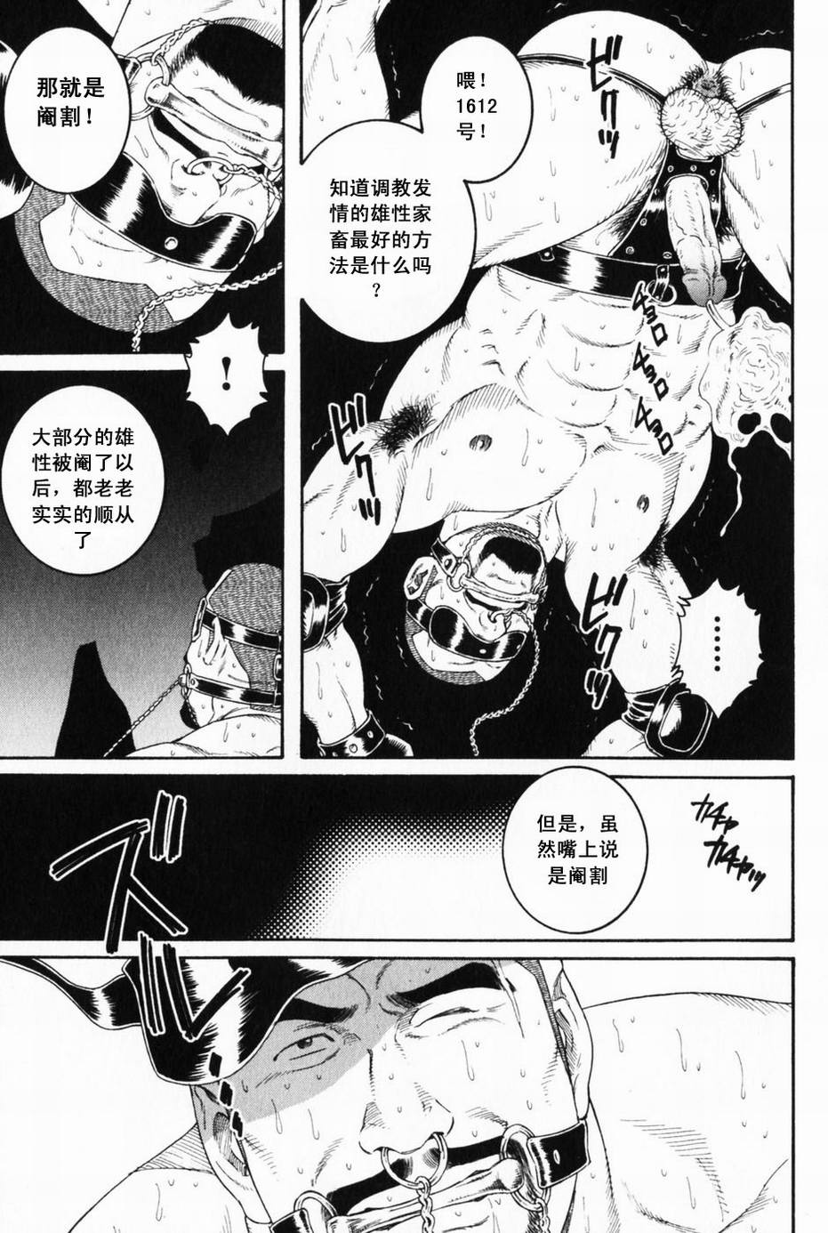 [田亀源五郎] ECLOSION [Chinese][暗十字架汉化] page 9 full